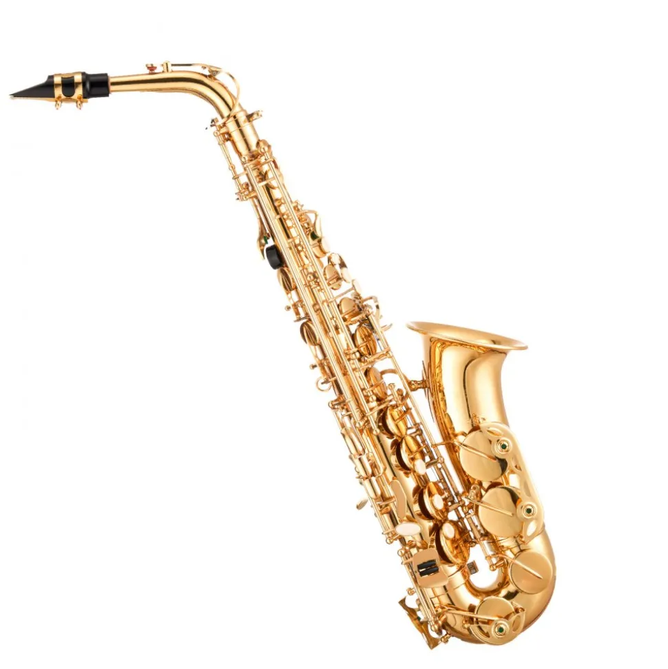 VEVOR Alto Saxophone, E Flat, Brass Saxophone Beginner Kit with Carrying Case, Mouthpiece, Straps, Cleaning Cloth Rod, Gloves, Grease, Neck Strap, 23 Keys Alto Sax Kit, for Beginners Students, Gold