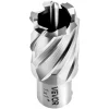 VEVOR Annular Cutter Set, 4 pcs Weldon Shank Mag Drill Bits Kit, 1" Cutting Depth, 1" Cutting Diameter, HSS, 2 Drill Bits with 2 Pilot Pins and Plastic Cases, for Magnetic Drills, Steel, Aluminum
