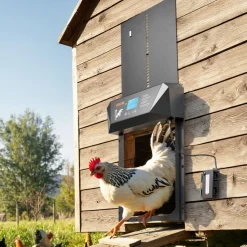VEVOR Automatic Chicken Coop Door, DC & Battery Powered Chicken Door with LCD Display, Light Sensor, Timer & Manual Setting, Anti-Pinch Security, Durable Aluminum Alloy, Chick Run Gate Opener for Farm