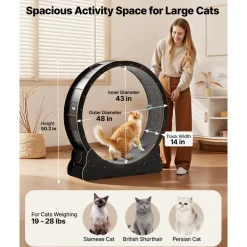 VEVOR Cat Exercise Wheel, 48 in Wooden Cat Running Wheel for Indoor Cats up to 28 lbs, Cats Treadmill with Carpeted Runway & Locking Mechanism, Quiet Kitten Sport Toys for Pets Fitness & Health, Black