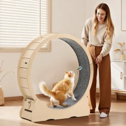 VEVOR Cat Exercise Wheel, 48 in Wooden Cat Running Wheel for Indoor Cats up to 28 lbs, Cats Treadmill with Carpeted Runway & Locking Mechanism, Quiet Roller Kitten Sport Toys for Pets Fitness & Health