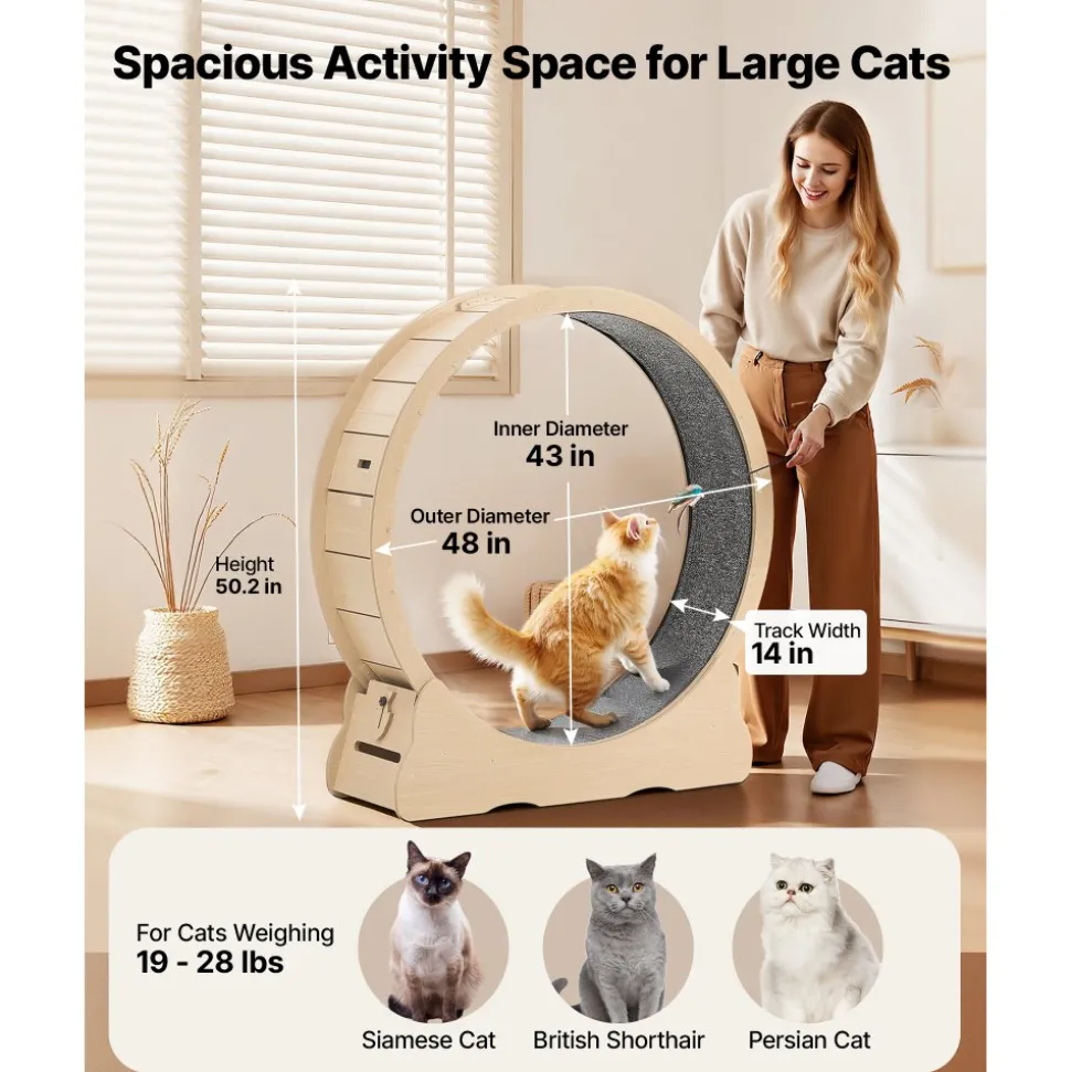 VEVOR Cat Exercise Wheel, 48 in Wooden Cat Running Wheel for Indoor Cats up to 28 lbs, Cats Treadmill with Carpeted Runway & Locking Mechanism, Quiet Roller Kitten Sport Toys for Pets Fitness & Health