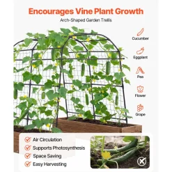 VEVOR Cucumber Trellis, U-Shape Garden Trellises for Raised Bed, Metal Arch Plant Support for Vine, Climbing Plants Outdoor, Peas, Beans, Zucchini, Tomato, Squash, Flower (70.87 x 44.09 x 82.99 in)