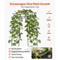 VEVOR Cucumber Trellis, U-Shape Garden Trellises for Raised Bed, Metal Arch Plant Support for Vine, Climbing Plants Outdoor, Peas, Beans, Zucchini, Tomato, Squash, Flower (32.01 x 31.5 x 80.71 in)