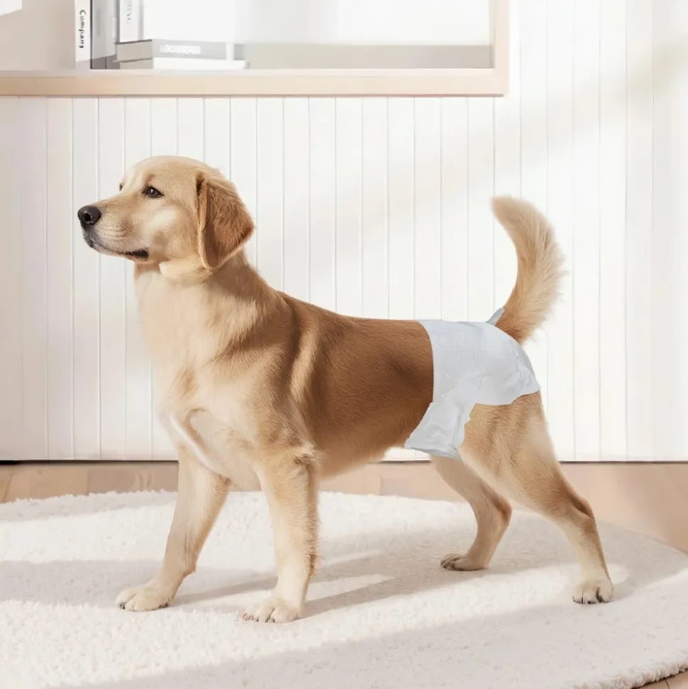 VEVOR Disposable Dog Diapers, Super Absorbent Female Dog Diapers, 360° Leak-Proof Female Doggy Pet Diaper with Wetness Indicator for Heat Period, Training, Incontinence - M, 144 Count (2 Packs of 72)