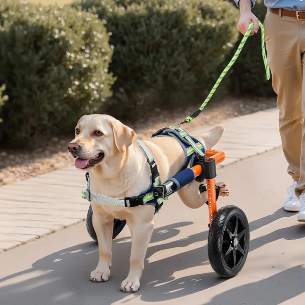 VEVOR Dog Wheelchair for Back Legs, Lightweight 2 Wheels Pet Wheelchair, Height, Width & Length Adjustable, Dog Cart with Shock-Absorbing Wheels, for Injured, Disabled Dogs 35-48 lbs, Medium