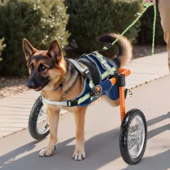 VEVOR Dog Wheelchair for Back Legs, Lightweight 2 Wheels Pet Wheelchair, Height, Width & Length Adjustable, Dog Cart with Shock-Absorbing Wheels, for Injured, Disabled Dogs 48-88 lbs, Large