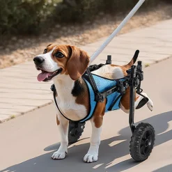 VEVOR Dog Wheelchair for Back Legs, Adjustable 2 Wheels Pet Wheelchair, Lightweight  Dog Cart with Shock-Absorbing Wheels, Mobility Support Wheel Chair for Disabled Injured Dogs up to 22lbs, Small