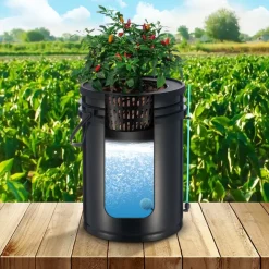 VEVOR DWC Hydroponics Grow System, Hydroponic Growing System with Top Drip Kit, Deep Water Culture 5-Gallon 2 Buckets, with Air Pump, Air Stones and Water Level Device for Leafy Vegetables