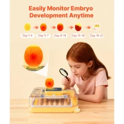 VEVOR 48 Egg Incubator, Automatic Egg Turner with LED Candler, Temperature Display & Auto Humidity Control, 360° View Clear Window, Poultry Eggs Incubator for Hatching Chicks Ducks Goose Quail