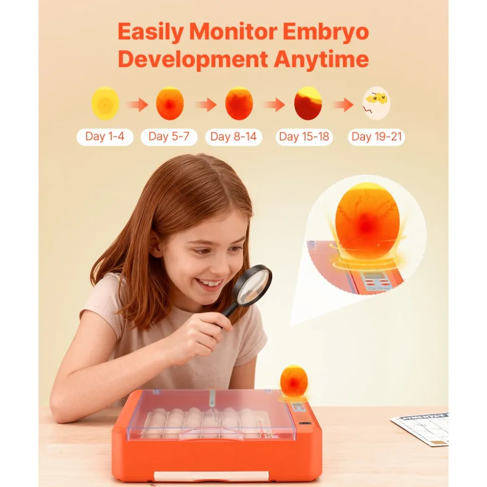 VEVOR 36 Egg Incubator, Automatic Egg Turner with LED Candler & Water Tray, Temperature & Humidity Control, 360° View Clear Window, Poultry Eggs Incubators for Hatching Chicks Ducks Goose Quails