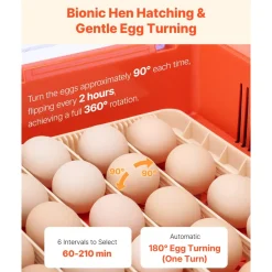 VEVOR 36 Egg Incubator, Automatic Egg Turner with LED Candler & Water Tray, Temperature & Humidity Control, 360° View Clear Window, Poultry Eggs Incubators for Hatching Chicks Ducks Goose Quails