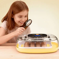 VEVOR 24 Egg Incubator, Automatic Egg Turner with LED Candler, Temperature Control & Humidity Display, 360° View Window, Auto Water Refill, Poultry Eggs Incubator for Hatching Chicks Ducks Goose Quail