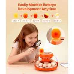 VEVOR 12 Egg Incubator, Automatic Egg Turner with LED Candler, Temperature & Humidity Control, 360° View Clear Window, Poultry Eggs Incubator for Home Farm, Hatching Chicks Ducks Goose Quail