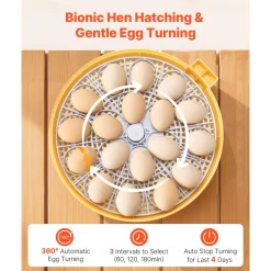 VEVOR 18 Egg Incubator, Automatic Egg Turner with LED Candler, Temperature & Humidity Control, 360° View Clear Window, Auto Water Refill, Poultry Eggs Incubators for Hatching Chicks Ducks Goose Quail