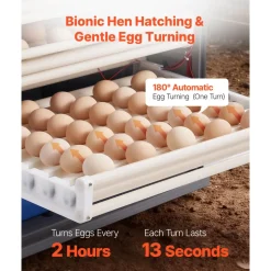 VEVOR 400 Egg Incubator, Poultry Incubator Cabinet with Automatic Eggs Turning, Temperature & Humidity Control, Heating & Cooling Egg Hatcher, Commercial Incubators for Hatching Chicks Ducks Goose