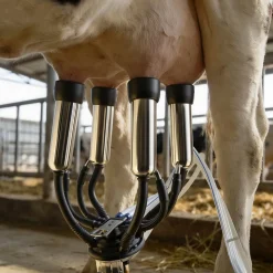 VEVOR Electric Cow Milking Machine, 6.6 Gal / 25 L 304 Stainless Steel Bucket, Food-Grade Teat Cups and Silicone Hose, Strong Suction, Vacuum Pulsation, Electric Milker Machine with Wheels for Cow