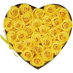VEVOR Forever Flowers, 50 Preserved Roses in a Heart Shape Box, Eternal Flowers Immortal Bouquet Birthday Present for Delivery Prime Women Her Wife Mothers, Anniversary, Valentine's Day,Christmas, Red