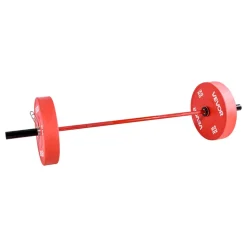 VEVOR 6FT Barbell Bar, Fits 2-Inch Weight Plates, Barbell Bar with Knurled Grip for Strength Training, Weightlifting, Squat, Deadlift, Bench Press, Curl, Overhead Press, 700lbs/317kg Capacity