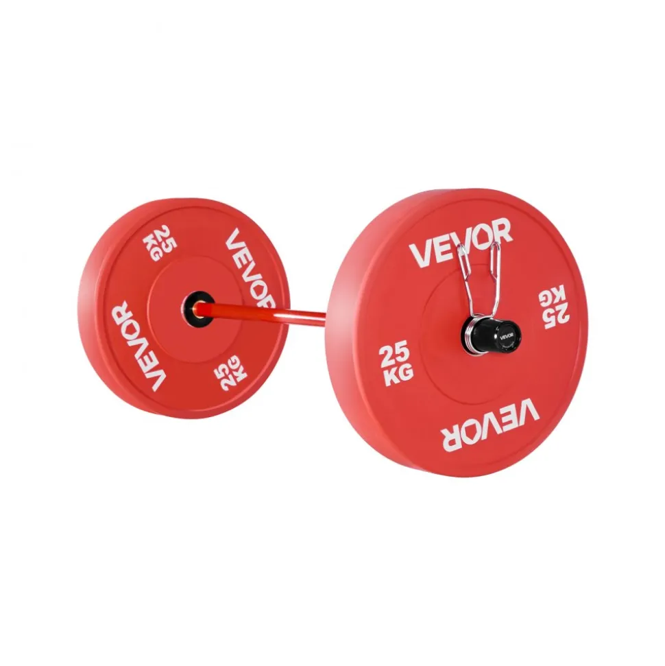 VEVOR 4FT Barbell Bar, Fits 2-Inch Weight Plates, Barbell Bar with Knurled Grip for Strength Training, Weightlifting, Squat, Deadlift, Bench Press, Curl, Overhead Press, 550lbs/226kg Capacity