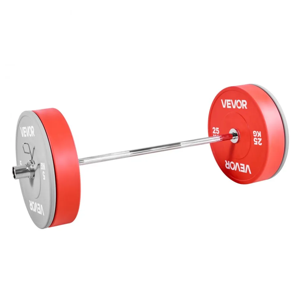 VEVOR 4FT Barbell Bar, Fits 2-Inch Weight Plates, Chrome Plated Barbell Bar with Knurled Grip for Strength Training, Weightlifting, Squat, Deadlift, Bench Press, Curl, Overhead Press, 500lbs Capacity
