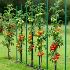 VEVOR Garden Stakes, 50 Pack, 70.87 inch, Plastic Coated Metal Tomato Stakes, Garden Sticks for Plants Support, with Pointed End and Non-Slip Bumps for Growing Climbing Plants, Outdoor Vegetables