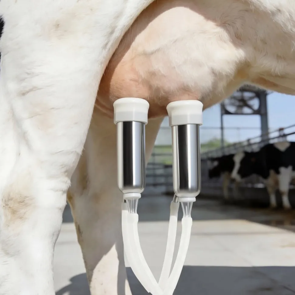 VEVOR Goat Milking Machine, 3.2 Gal / 12 L Food-Grade Stainless Steel Bucket, 4 Teat Cups for Cows and Goats, with 8000 mAh Rechargeable Battery, Electric Pulsation Milking Machine Portable Milker