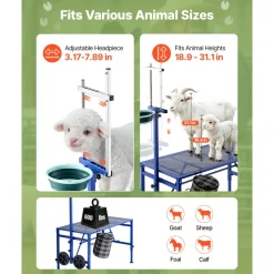 VEVOR Goat Milking Stand, 600 lbs Heavy Duty Foldable Goat Stand with Feed Bin & Wheels, Adjustable Headpiece & Tool Basket, Stanchion for Grooming & Hoof Trimming, Metal Livestock Platform for Sheep