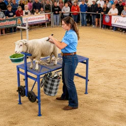 VEVOR Goat Milking Stand, 600 lbs Heavy Duty Foldable Goat Stand with Feed Bin & Wheels, Adjustable Headpiece & Tool Basket, Stanchion for Grooming & Hoof Trimming, Metal Livestock Platform for Sheep