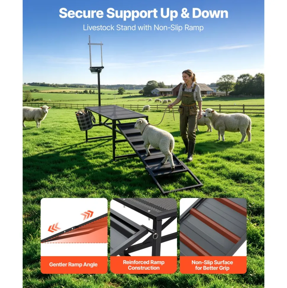 VEVOR Goat Milking Stand, 600 lbs Heavy Duty Goat Stand with Ramp & Feed Bin, Adjustable Headpiece & Tool Basket, Stanchion for Grooming & Hoof Trimming, Metal Livestock Platform for Sheep Lamb, Black
