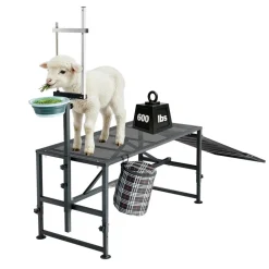 VEVOR Goat Milking Stand, 600 lbs Heavy Duty Goat Stand with Ramp & Feed Bin, Adjustable Headpiece & Tool Basket, Stanchion for Grooming & Hoof Trimming, Metal Livestock Platform for Sheep Lamb, Black