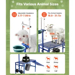 VEVOR Goat Milking Stand, 600 lbs Heavy Duty Foldable Goat Stand with Ramp, Feed Bin & Wheels, Adjustable Headpiece & Basket, Stanchion for Grooming & Hoof Trimming, Metal Livestock Platform for Sheep