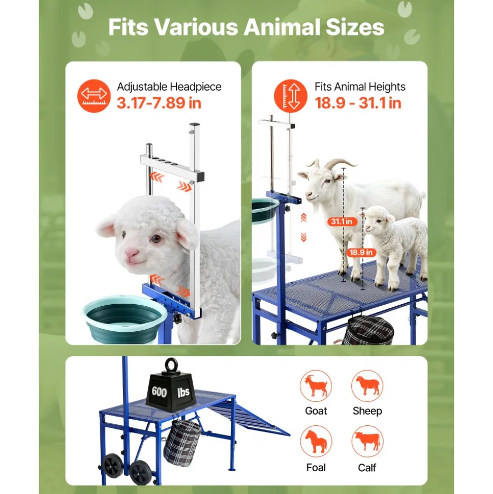 VEVOR Goat Milking Stand, 600 lbs Heavy Duty Foldable Goat Stand with Ramp, Feed Bin & Wheels, Adjustable Headpiece & Basket, Stanchion for Grooming & Hoof Trimming, Metal Livestock Platform for Sheep