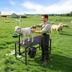 VEVOR Goat Milking Stand, 600 lbs Heavy Duty Goat Stand with Feed Bin, Adjustable Headpiece & Tool Basket, Stanchion for Grooming & Hoof Trimming, Metal Livestock Platform for Sheep, 47