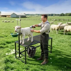 VEVOR Goat Milking Stand, 600 lbs Heavy Duty Goat Stand with Feed Bin, Adjustable Headpiece & Tool Basket, Stanchion for Grooming & Hoof Trimming, Metal Livestock Platform for Sheep, 51" x 23", Black
