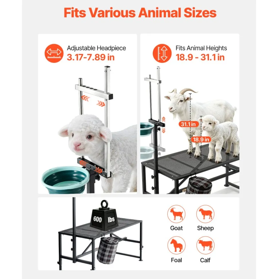 VEVOR Goat Milking Stand, 600 lbs Heavy Duty Goat Stand with Feed Bin, Adjustable Headpiece & Tool Basket, Stanchion for Grooming & Hoof Trimming, Metal Livestock Platform for Sheep, 51" x 23", Black
