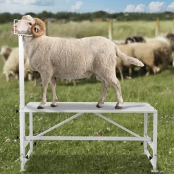 VEVOR Goat & Sheep Stand, 47x23 inch Livestock Stand, Metal Livestock Milking and Shearing Stand 21