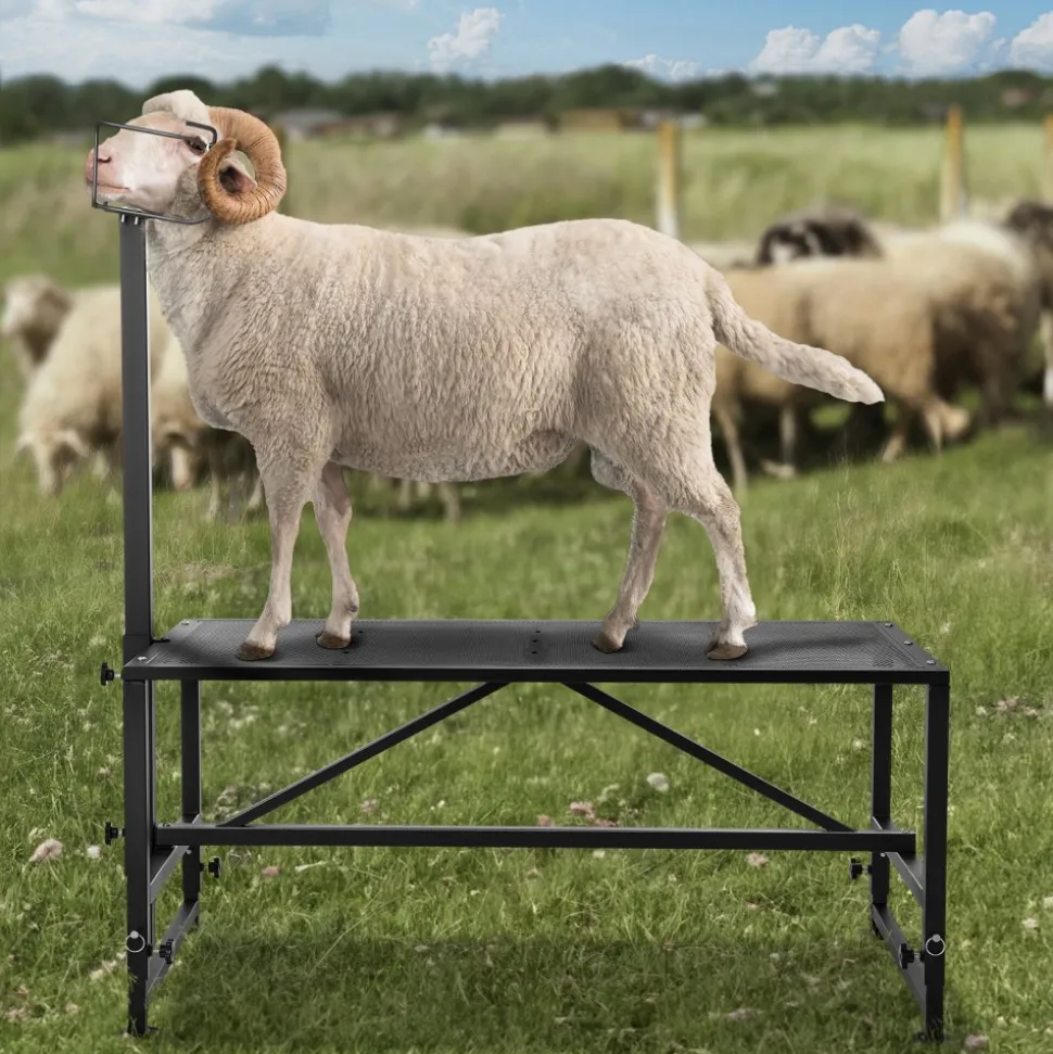 VEVOR Goat & Sheep Stand, 47x23 inch Livestock Stand, Metal Livestock Milking and Shearing Stand 21" to 33" Adjustable Height, with Headpiece and Nose Loop, 500lbs Loading Weight, Black