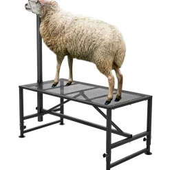 VEVOR Goat & Sheep Stand, 47x23 inch Livestock Stand, Metal Livestock Milking and Shearing Stand 21
