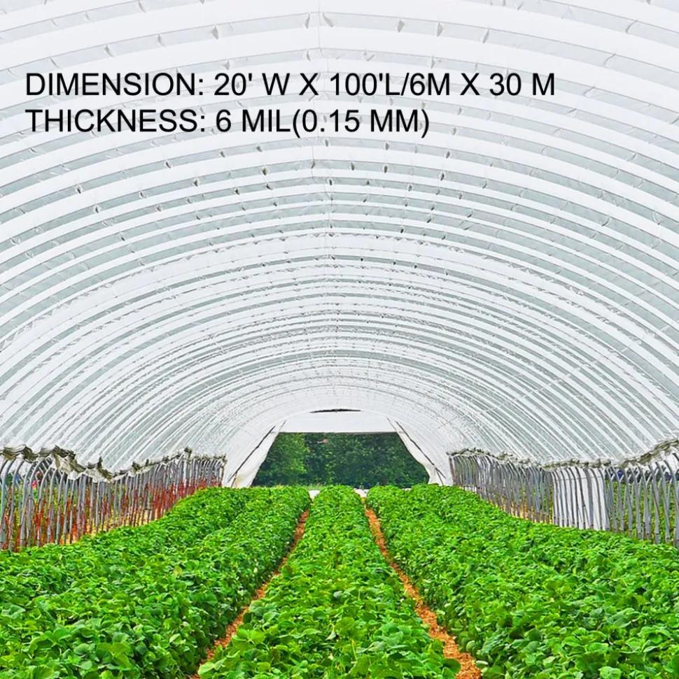 VEVOR Greenhouse Film 20 x 100 ft, Greenhouse Polyethylene Film 6 Mil Thickness, Greenhouse Plastic Greenhouse Clear Plastic Film UV Resistant, Polyethylene Film Keep Warming, Superior Strength