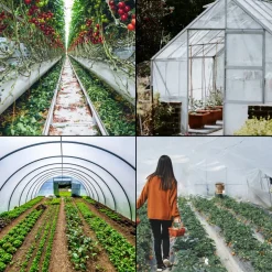 VEVOR Greenhouse Film 10 x 25 ft, Greenhouse Polyethylene Film 6 Mil Thickness, Greenhouse Plastic Greenhouse Clear Plastic Film UV Resistant, Polyethylene Film Keep Warming, Superior Toughness