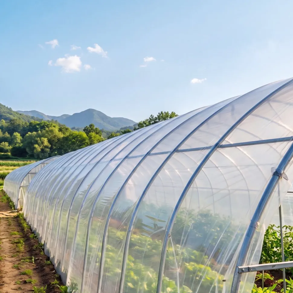 VEVOR Greenhouse Plastic Sheeting 12 x 100 ft 6 Mil Clear Polyethylene Film, for Farms Agriculture Garden Outdoor Plant, Water Sun Frost Wind Dust Resistant, Heavy Duty Thick Winter Hoop House Cover