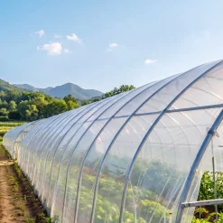 VEVOR Greenhouse Plastic Sheeting 24 x 100 ft 5 Mil Clear Polyethylene Film, for Farms Agriculture Garden Outdoor Plant, Water Sun Frost Wind Dust Resistant, Heavy Duty Thick Winter Hoop House Cover