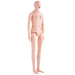 VEVOR Nursing Training Manikin, Male/Female Life Size Demonstration Human Manikin for Nursing Training, Multifunctional Education Teaching Model, PVC Anatomical Mannequin Body Care Simulator Model