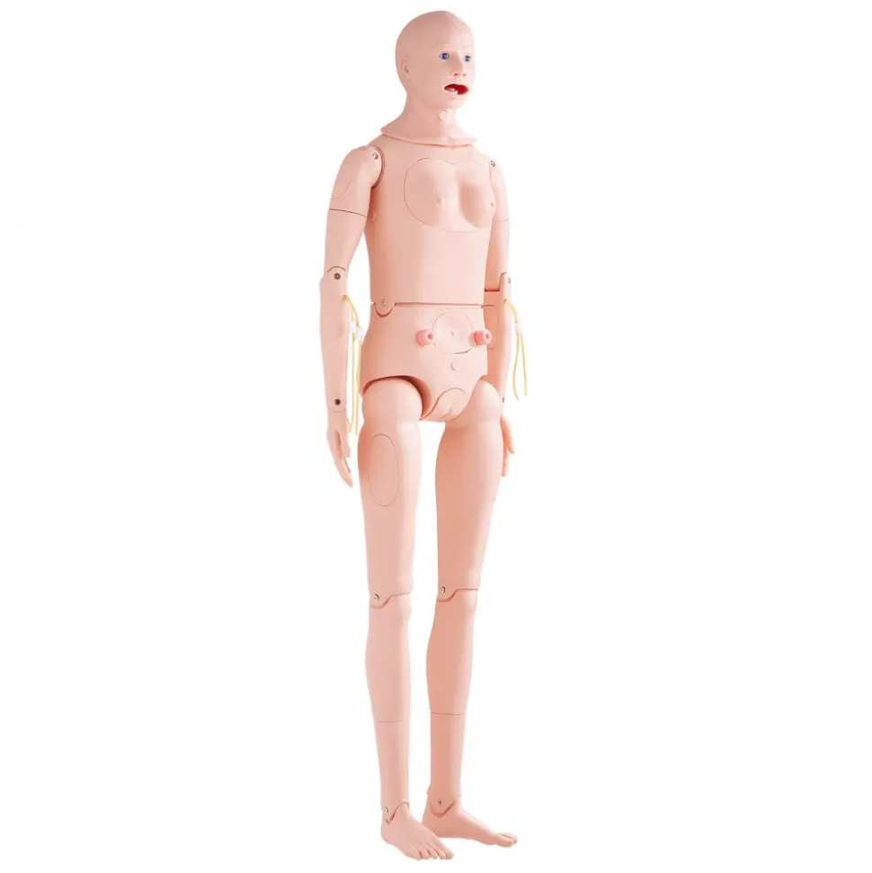 VEVOR Nursing Training Manikin, Male/Female Life Size Demonstration Human Manikin for Nursing Training, Multifunctional Education Teaching Model, PVC Anatomical Mannequin Body Care Simulator Model