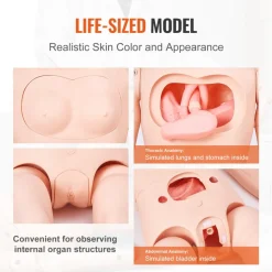 VEVOR Nursing Training Manikin, Male/Female Life Size Demonstration Human Manikin for Nursing Training, Multifunctional Education Teaching Model, PVC Anatomical Mannequin Body Care Simulator Model