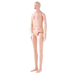 VEVOR Nursing Training Manikin, Male/Female Life Size Demonstration Human Manikin for Nursing Training, Multifunctional Education Teaching Model, PVC Anatomical Mannequin Body Care Simulator Model