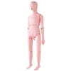 VEVOR Nursing Training Manikin, Male Life Size Demonstration Human Manikin for Nursing Training, Multifunctional Education Teaching Model Supplies, PVC Anatomical Mannequin Body Care Simulator Model