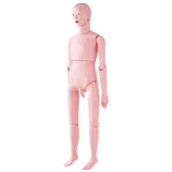 VEVOR Nursing Training Manikin, Male Life Size Demonstration Human Manikin for Nursing Training, Multifunctional Education Teaching Model Supplies, PVC Anatomical Mannequin Body Care Simulator Model