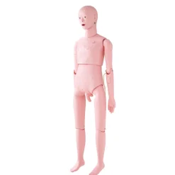 VEVOR Nursing Training Manikin, Male Life Size Demonstration Human Manikin for Nursing Training, Multifunctional Education Teaching Model Supplies, PVC Anatomical Mannequin Body Care Simulator Model